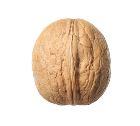 Whole walnut in shell isolated on white