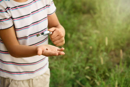 Closeup view of little boy exploring ladybug outdoors, space for text. Child spending time in natureの写真素材