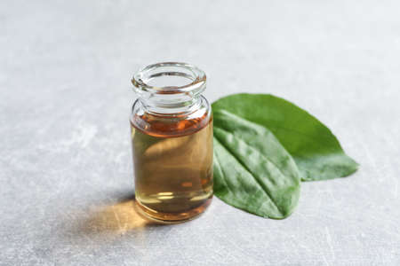 Bottle of broadleaf plantain extract and leaves on light tableの写真素材