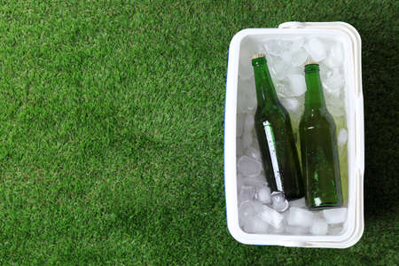 Plastic cool box with bottles of beer and ice cubes on green grass outdoors, top view. Space for textの写真素材
