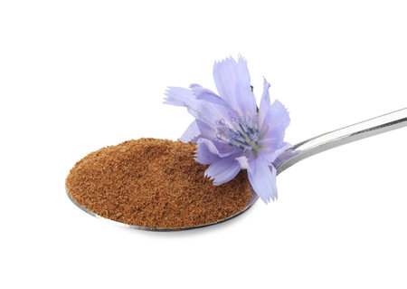 Spoon of chicory powder with flower isolated on whiteの写真素材