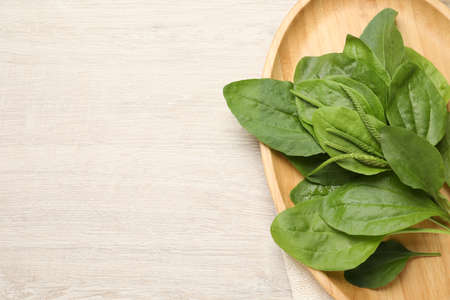 Green broadleaf plantain leaves on white wooden table, top view. Space for text
