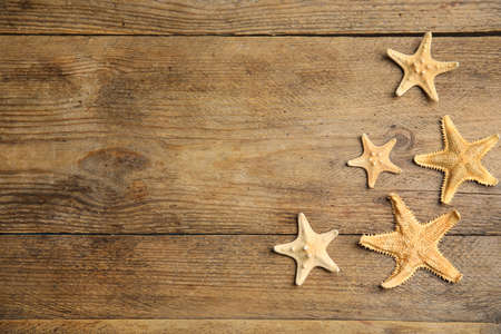 Beautiful sea stars on wooden background, flat lay. Space for textの写真素材