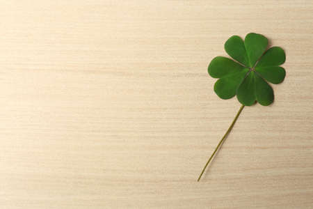 Green four leaf clover on wooden table, top view. Space for textの写真素材