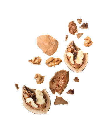 Broken walnut and pieces of shell flying on white background