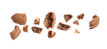 Pieces of walnut and shell falling on white background