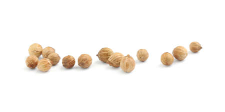 Scattered dried coriander seeds on white backgroundの写真素材