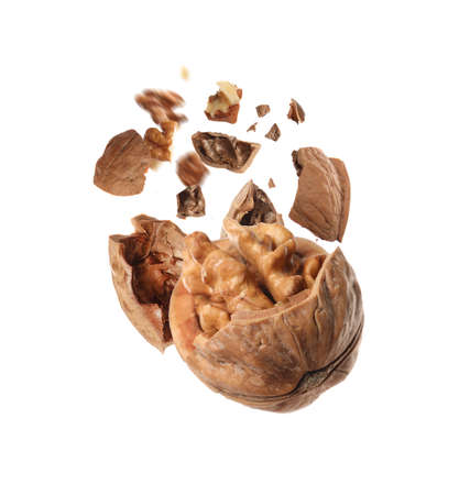 Broken walnut and pieces of shell flying on white background