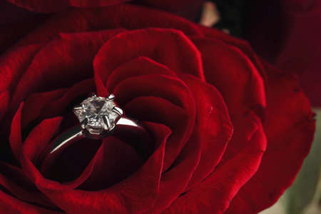 Beautiful engagement ring with gemstone on rose, closeupの写真素材