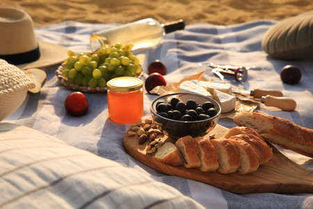 Different tasty snacks on picnic blanket outdoorsの写真素材