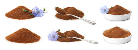 Set with chicory powder on white background. Banner designの写真素材