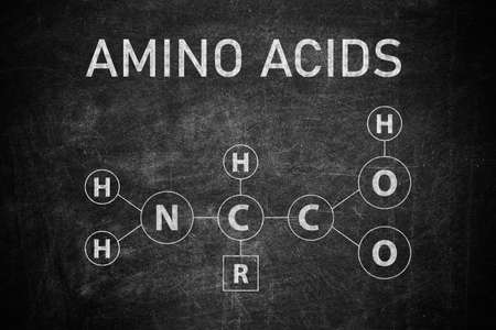 Text AMINO ACIDS and chemical formula written on blackboardの写真素材