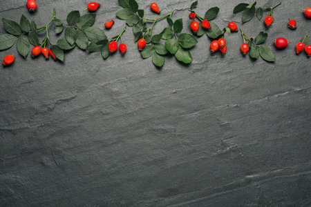 Ripe rose hip berries with green leaves on black table, flat lay. Space for textの写真素材