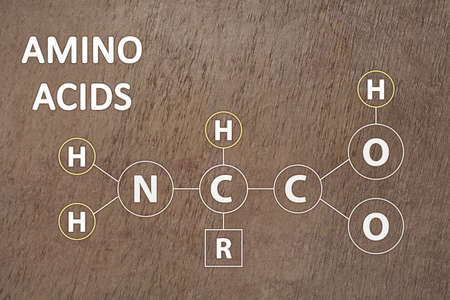 Text Amino Acids and chemical formula on brown stone surface