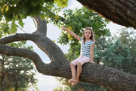 Cute little girl sitting on tree outdoors. Child spending time in natureの写真素材
