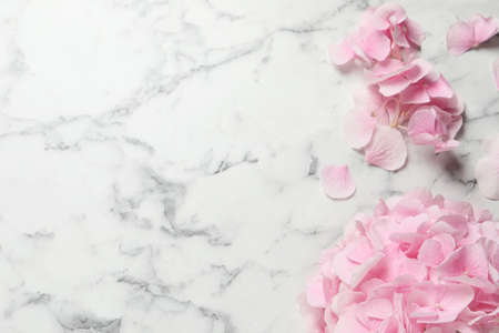 Beautiful pink hortensia flowers on white marble table, flat lay. Space for textの写真素材