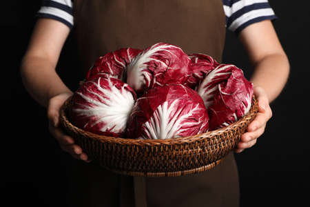 Woman with ripe radicchios on black background, closeupの写真素材