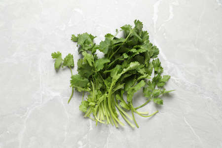 Fresh green cilantro on light gray marble table, flat layの写真素材