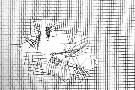 Torn window screen against white background, closeupの写真素材