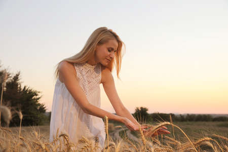 Woman in ripe wheat spikelets field. Space for textの写真素材