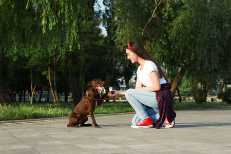 Young woman with her German Shorthaired Pointer dog in park