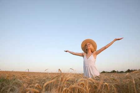 Woman in ripe wheat spikelets field. Space for text