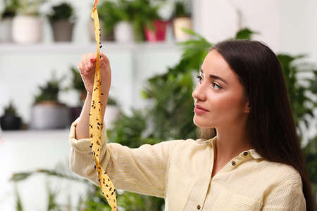 Woman holding sticky insect tape with dead flies indoors