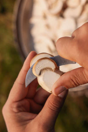 Man slicing freshly picked mushrooms outdoors, closeupの写真素材