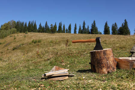 Tree stump with ax and cut firewood on hill, space for text