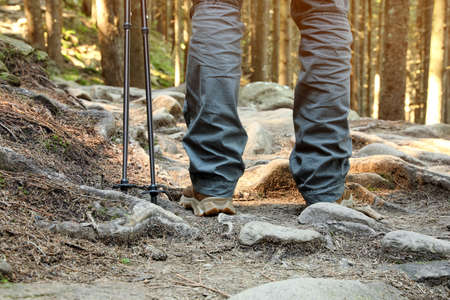 Hiker with trekking poles in mountain forest, closeupの写真素材