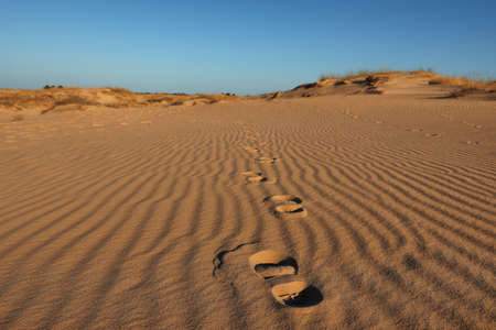 Trail of footprints on sand in desertの写真素材