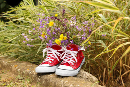 Red shoes with beautiful wild flowers in parkの写真素材