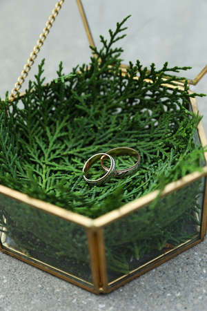 Beautiful wedding rings in glass box on gray surface outdoorsの写真素材