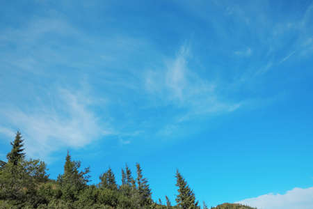 Picturesque view of sky with clouds over forestの写真素材