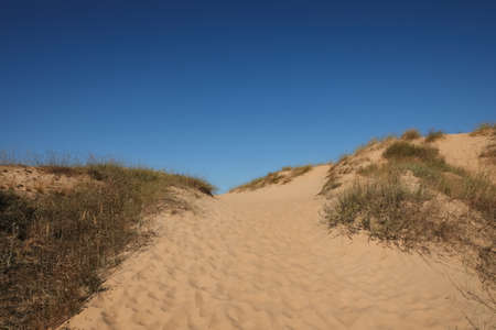 Picturesque view of desert on sunny day