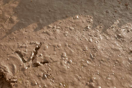 View of textured ground mud outdoors on sunny day