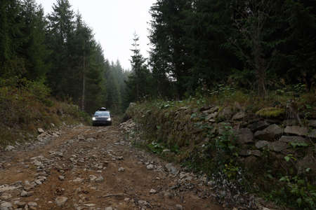 Modern black van on pathway in forest