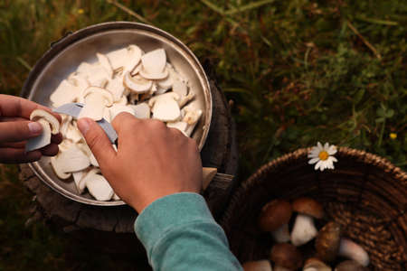 Man slicing freshly picked mushrooms outdoors, closeupの写真素材