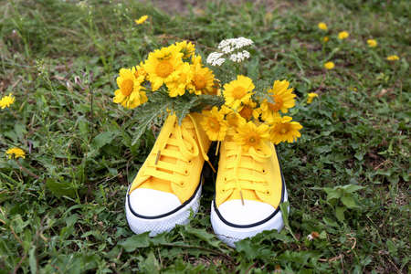 Shoes with beautiful yellow flowers on grass outdoorsの写真素材