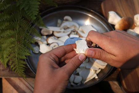 Man slicing mushrooms at table, closeup viewの写真素材