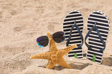 Stylish flip flops, sunglasses and starfish on sand, space for textの写真素材