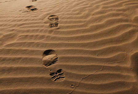 Trail of footprints on sand in desertの写真素材