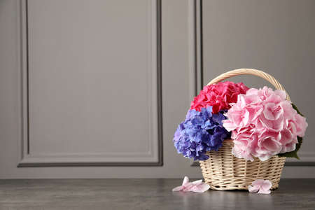 Bouquet with beautiful hortensia flowers in wicker basket on gray table. Space for textの写真素材