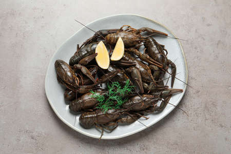 Fresh raw crayfishes with lemon and dill on light gray table, top viewの写真素材