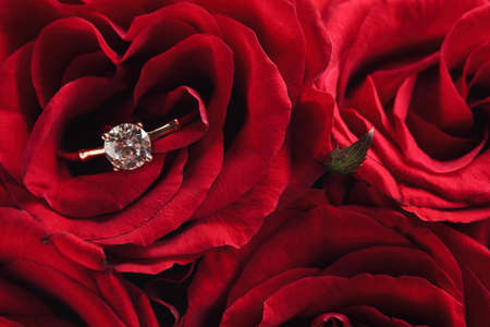Beautiful engagement ring with gemstone on roses, closeupの写真素材