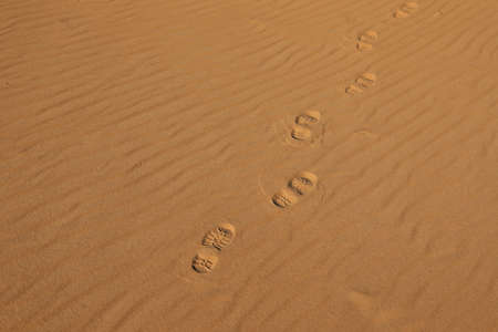 Trail of footprints on sand in desertの写真素材