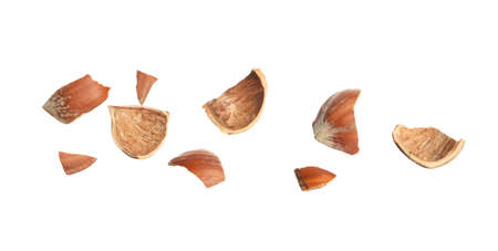 Pieces of hazelnut shell on white backgroundの写真素材