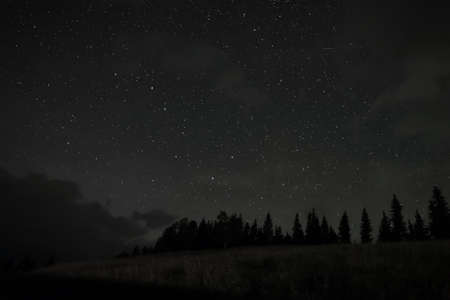 Picturesque view of forest and beautiful starry sky at nightの写真素材