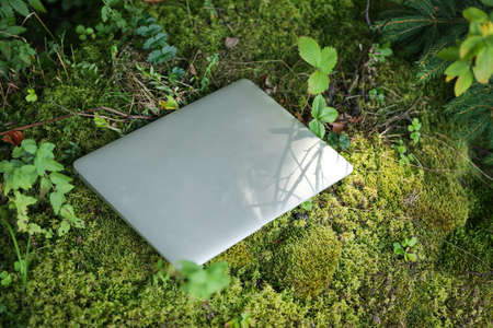 Laptop on green grass in forest. Distance workの写真素材