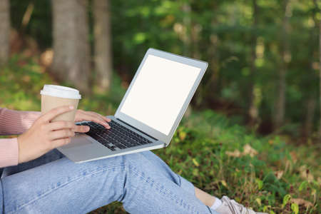 Young woman with cup of coffee working on laptop in forest, closeupの写真素材